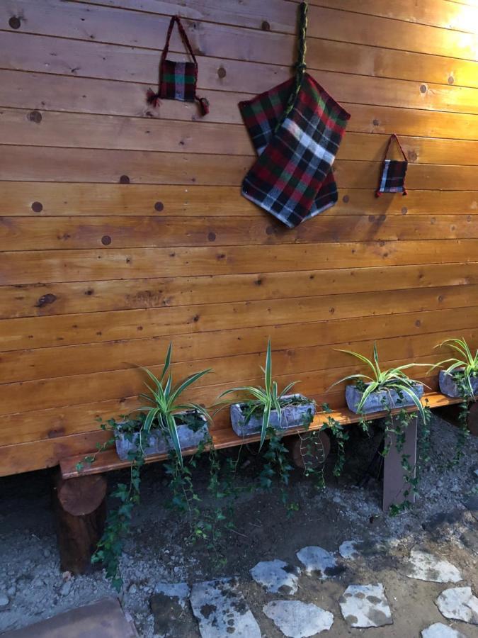 Domeniul Horj Casa Din Deal Moisei Zewnętrze zdjęcie