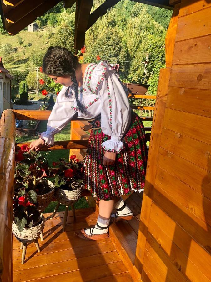 Domeniul Horj Casa Din Deal Moisei Zewnętrze zdjęcie
