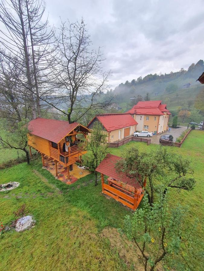 Domeniul Horj Casa Din Deal Moisei Zewnętrze zdjęcie