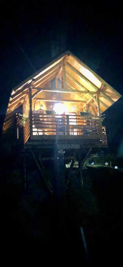 Domeniul Horj Casa Din Deal Moisei Zewnętrze zdjęcie