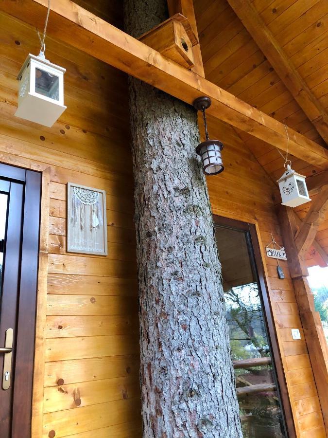 Domeniul Horj Casa Din Deal Moisei Zewnętrze zdjęcie
