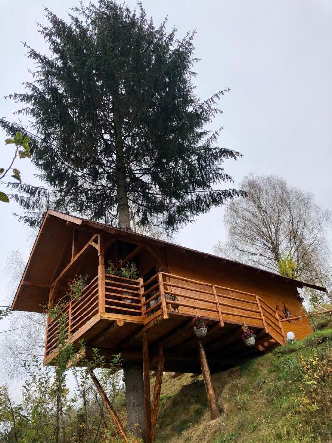 Domeniul Horj Casa Din Deal Moisei Zewnętrze zdjęcie