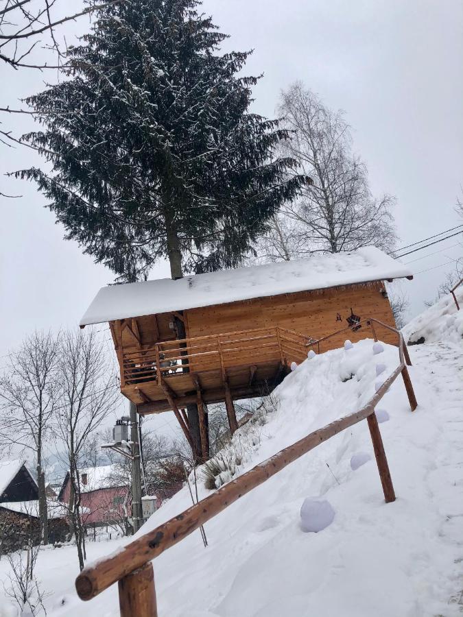 Domeniul Horj Casa Din Deal Moisei Zewnętrze zdjęcie
